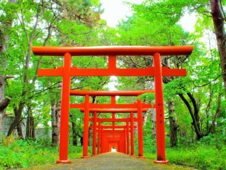 Kyonoya Fushimi Inari Villa Kyoto Exterior photo